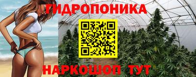 кокс Кулебаки